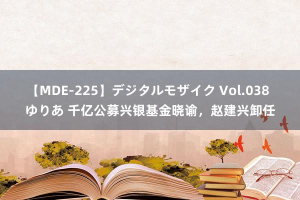 【MDE-225】デジタルモザイク Vol.038 ゆりあ 千亿公募兴银基金晓谕，赵建兴卸任