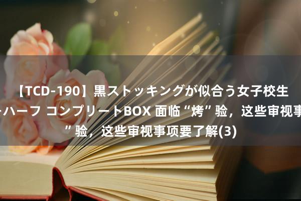 【TCD-190】黒ストッキングが似合う女子校生は美脚ニューハーフ コンプリートBOX 面临“烤”验，这些审视事项要了解(3)