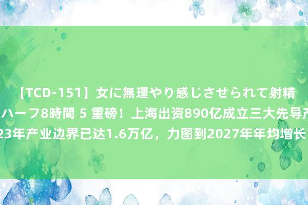 【TCD-151】女に無理やり感じさせられて射精までしてしまうニューハーフ8時間 5 重磅！上海出资890亿成立三大先导产业母基金，2023年产业边界已达1.6万亿，力图到2027年年均增长10%以上【附上海三大先导产业企业图谱】