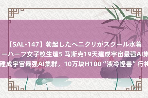 【SAL-147】勃起したペニクリがスクール水着を圧迫してしまうニューハーフ女子校生達5 马斯克19天建成宇宙最强AI集群，10万块H100“液冷怪兽”行将醒觉