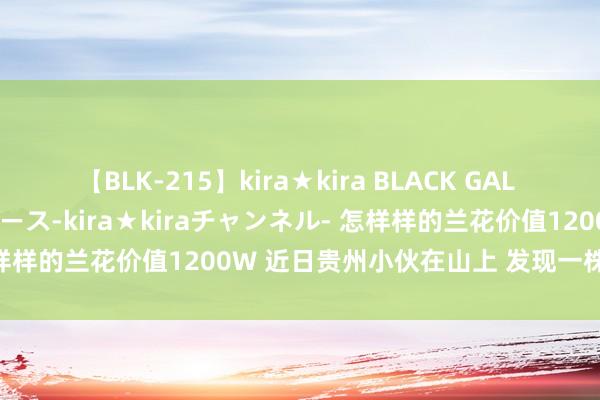 【BLK-215】kira★kira BLACK GAL 黒ギャル・EMIRIプロデュース-kira★kiraチャンネル- 怎样样的兰花价值1200W 近日贵州小伙在山上 发现一株百万兰花