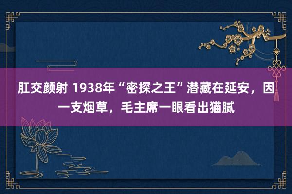 肛交颜射 1938年“密探之王”潜藏在延安，因一支烟草，毛主席一眼看出猫腻