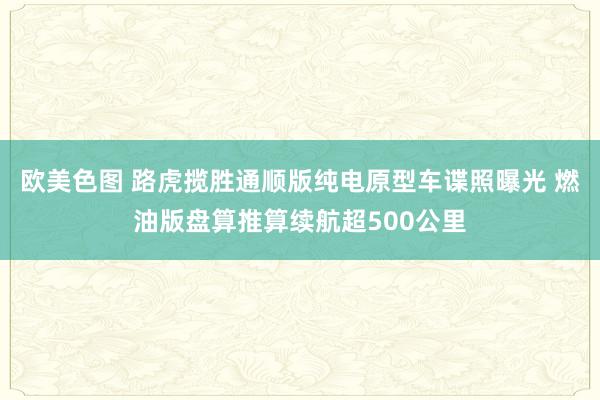 欧美色图 路虎揽胜通顺版纯电原型车谍照曝光 燃油版盘算推算续航超500公里