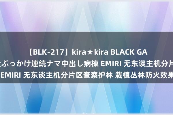 【BLK-217】kira★kira BLACK GAL黒ギャルご奉仕ナース 大量ぶっかけ連続ナマ中出し病棟 EMIRI 无东谈主机分片区查察护林 栽植丛林防火效果