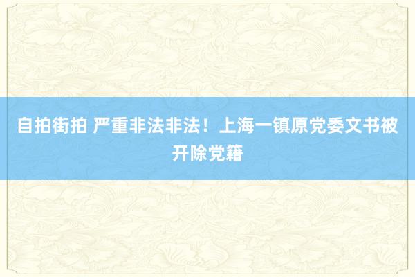 自拍街拍 严重非法非法！上海一镇原党委文书被开除党籍