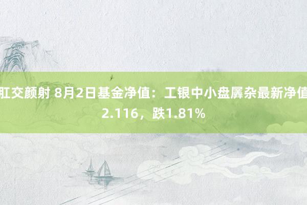 肛交颜射 8月2日基金净值：工银中小盘羼杂最新净值2.116，跌1.81%