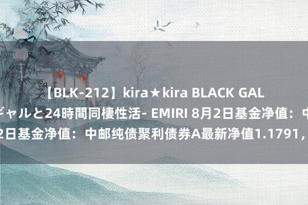 【BLK-212】kira★kira BLACK GAL レンタル痴女GAL-日焼け黒ギャルと24時間同棲性活- EMIRI 8月2日基金净值：中邮纯债聚利债券A最新净值1.1791，涨0.01%