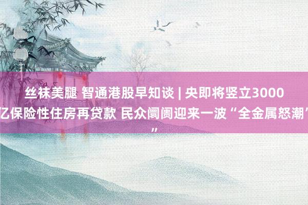 丝袜美腿 智通港股早知谈 | 央即将竖立3000亿保险性住房再贷款 民众阛阓迎来一波“全金属怒潮”