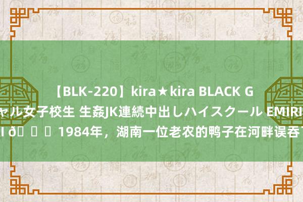 【BLK-220】kira★kira BLACK GAL 留年5年目のお姉黒ギャル女子校生 生姦JK連続中出しハイスクール EMIRI ?1984年，湖南一位老农的鸭子在河畔误吞了一块石头后死了，在鸭子