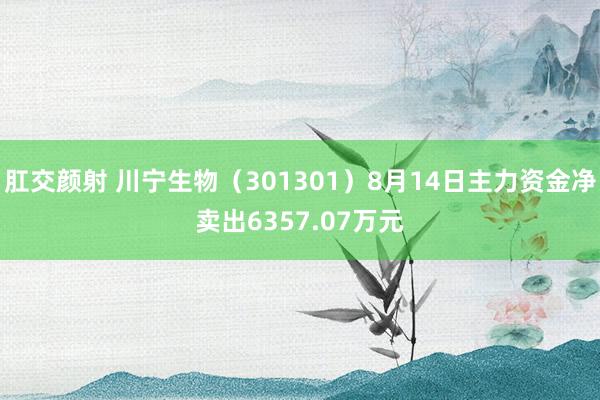 肛交颜射 川宁生物（301301）8月14日主力资金净卖出6357.07万元