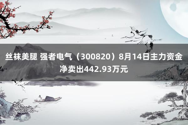 丝袜美腿 强者电气（300820）8月14日主力资金净卖出442.93万元