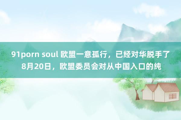 91porn soul 欧盟一意孤行，已经对华脱手了 8月20日，欧盟委员会对从中国入口的纯