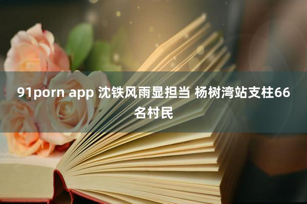 91porn app 沈铁风雨显担当 杨树湾站支柱66名村民