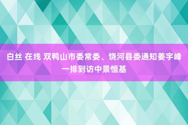 白丝 在线 双鸭山市委常委、饶河县委通知姜宇峰一排到访中景恒基