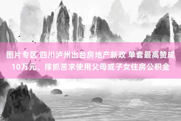 图片专区 四川泸州出台房地产新政 单套最高赞成10万元、撑抓苦求使用父母或子女住房公积金