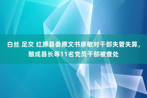 白丝 足交 红原县委原文书廖敏对干部失管失算，酿成县长等11名党员干部被查处