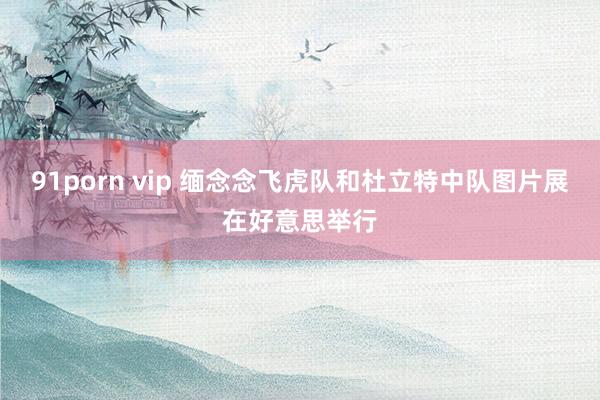 91porn vip 缅念念飞虎队和杜立特中队图片展在好意思举行