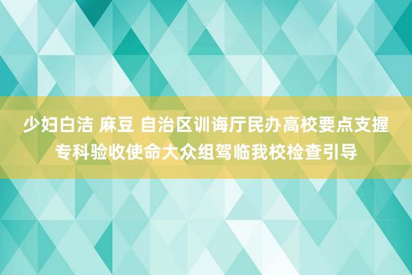 少妇白洁 麻豆 自治区训诲厅民办高校要点支握专科验收使命大众组驾临我校检查引导