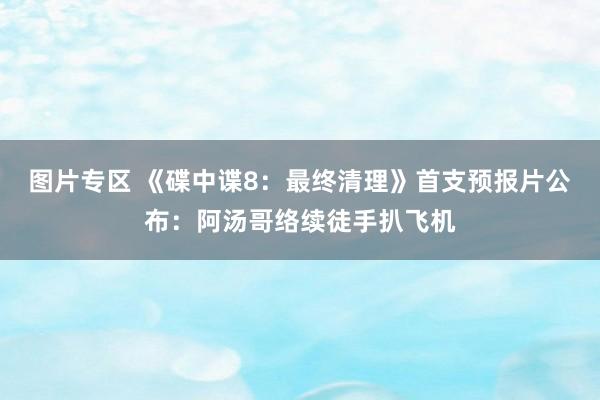 图片专区 《碟中谍8：最终清理》首支预报片公布：阿汤哥络续徒手扒飞机